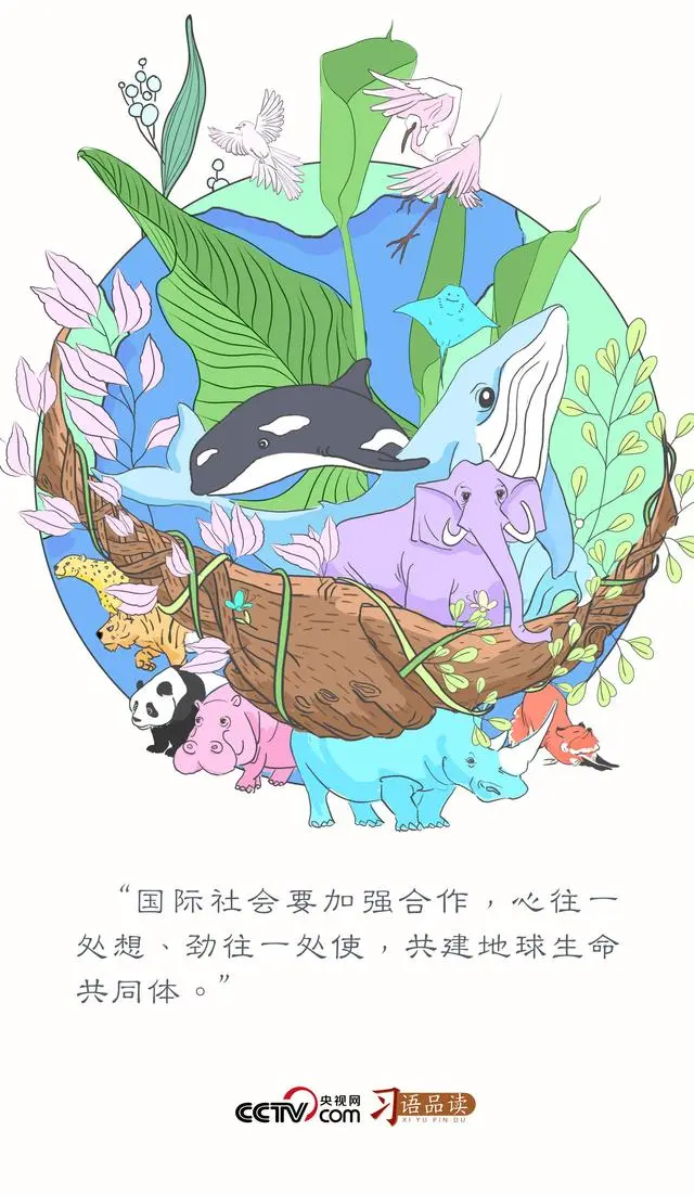习语品读